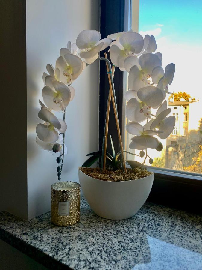 W Centrum Miasta Apartament